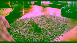 The Greenies Dental Treats Greenies CAMO Make Health A Treat 6sec 2024 Ad Commercial Brand Imagery Photoshoot 1