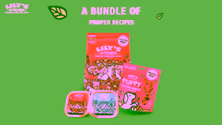 Lily's Kitchen Starter packs for pets Ad Commercial Brand Imagery Photoshoot 0