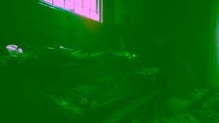 Pura Pura Transform your space with scent 30 Ad Commercial Brand Imagery Photoshoot 1