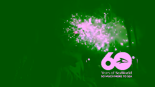 SeaWorld San Antonio SWC2460ReasonsToVisitSummerSaleMULTISvUpTo65PcUrgencyYT15ENG Ad Commercial Brand Imagery Photoshoot 1