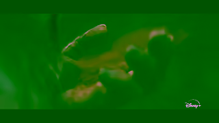 Disney Plus Now streaming Ad Commercial Brand Imagery Photoshoot 0