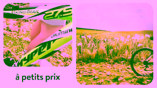 Walmart Place lt chez Walmart Ad Commercial Brand Imagery Photoshoot 2