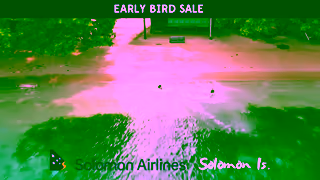 Solomon Airlines Early Bird Sale Ad Commercial Brand Imagery Photoshoot 2