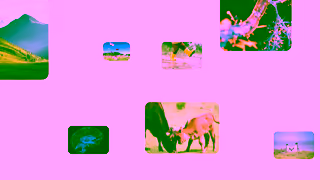 Bing See where your curiosity can take you Copilot Search in Bing Ad Commercial Brand Imagery Photoshoot 2