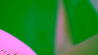 KitchenAid KITC0138 OLV 15 biglogo Ad Commercial Brand Imagery Photoshoot 1