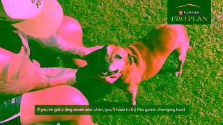 Purina Watch Nitros Story PRO PLAN BRIGHT MIND Dog Food Ad Commercial Brand Imagery Photoshoot 2