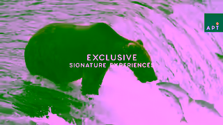 APT Tours APT Discover the New Canada and Alaska Ad Commercial Brand Imagery Photoshoot 2