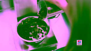 Hill's Science Did That Wet Inclusion Cat Ad Commercial Brand Imagery Photoshoot 2