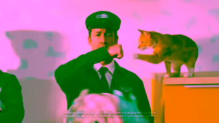 MAYTAG Conquer Pet Hair Like a Pro with the Maytag Pet Pro System Ad Commercial Brand Imagery Photoshoot 1