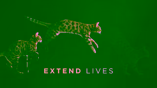 Purina Pro Plan is Always Advancing Nutrition Ad Commercial Brand Imagery Photoshoot 1