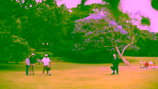 Australian Beef Beef and Lambboth bloody delicious Ad Commercial Brand Imagery Photoshoot 0