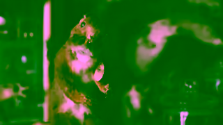 The Real Cost What do vaping and taxidermy have in common The Real Cost Ad Commercial Brand Imagery Photoshoot 1