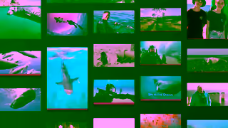 BBC BBC iPlayer Natural World Bundle Fearless YouTube Pre Roll 8MB Ad Commercial Brand Imagery Photoshoot 0