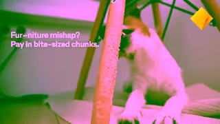 CommBank Furniture mishap Pay in bitesized chunks with SurePay Ad Commercial Brand Imagery Photoshoot 0