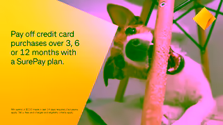 CommBank Furniture mishap Pay in bitesized chunks with SurePay Ad Commercial Brand Imagery Photoshoot 1