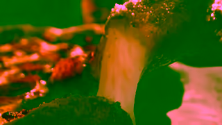 Dominos Tastes like never before Ad Commercial Brand Imagery Photoshoot 0