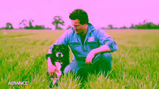 PetBarn Advance Unseen Heroes V2 Ad Commercial Brand Imagery Photoshoot 1