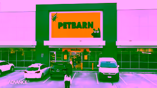 PetBarn Advance Unseen Heroes V2 Ad Commercial Brand Imagery Photoshoot 2