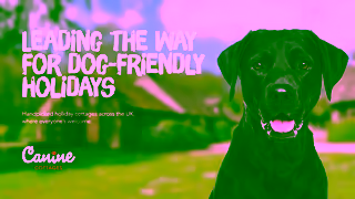 Canine Cottages Dogfriendly UK holidays with Canine Cottages Ad Commercial Brand Imagery Photoshoot 2