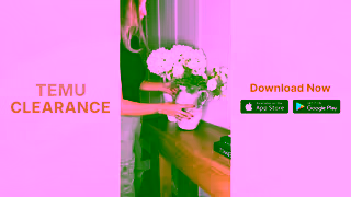 Temu Shop at Temu Ad Commercial Brand Imagery Photoshoot 1