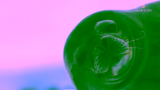 Seabourn Cruises Seabourn UltraLuxury Cruises Ad Commercial Brand Imagery Photoshoot 1