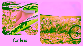 Walmart Walmart Spring into Summer Ad Commercial Brand Imagery Photoshoot 2