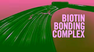 Rimmel Rimmel London WonderBond Mascara Ad Commercial Brand Imagery Photoshoot 1