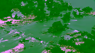 Greenpeace Join the movement to help stop the climate crisis Ad Commercial Brand Imagery Photoshoot 0