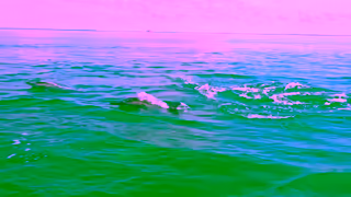 Greenpeace Join the movement to help stop the climate crisis Ad Commercial Brand Imagery Photoshoot 2