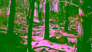 BikesOnline Siskiu T 1 Minute Ad Ad Commercial Brand Imagery Photoshoot 0