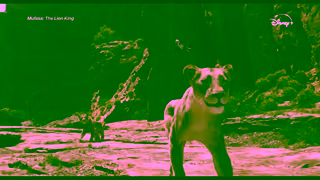 Disney Plus Now Streaming Ad Commercial Brand Imagery Photoshoot 1