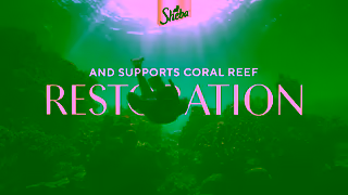Sheba Sheba Reef Builders Ad Commercial Brand Imagery Photoshoot 1