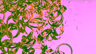 PDPAOLA PDPAOLA A jewelry avalanche Ad Commercial Brand Imagery Photoshoot 1