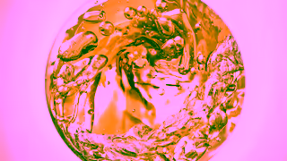 L'Occitane Immortelle Overnight Reset Serum LOccitane Ad Commercial Brand Imagery Photoshoot 1