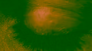 HERDEZ Take the trip Home Canada Ad Commercial Brand Imagery Photoshoot 0