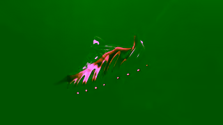 Foot Locker Foot Locker Air Max Dn8 Ad Commercial Brand Imagery Photoshoot 1