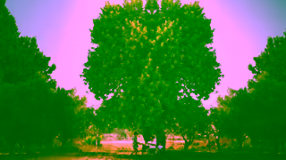 Visit Cyprus Welcome to Cyprus Ad Commercial Brand Imagery Photoshoot 0