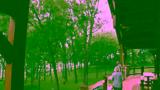 Timberlyne Grandparents House Filling Hearts with Joy Look Up Timberlyne Ad Commercial Brand Imagery Photoshoot 1