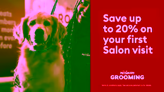 PetSmart Say Id Do Anything Canada Welcome Offer Ad Commercial Brand Imagery Photoshoot 1