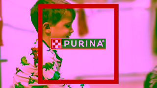 Purina Cat Food that Passes Over 100K Quality Checks Ad Commercial Brand Imagery Photoshoot 0