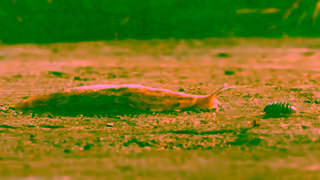 Wealthsimple FOMO Wealthsimple Ad Commercial Brand Imagery Photoshoot 1