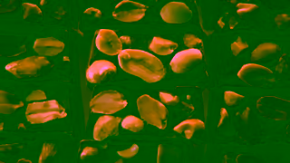 Whittaker's Whittakers AU Peanut Slab LTC Ad Commercial Brand Imagery Photoshoot 1