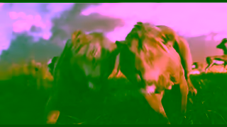 Disney Mufasa Le Roi Lion En salle ds le 20 dcembre Ad Commercial Brand Imagery Photoshoot 0