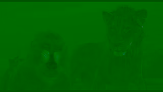 Disney Mufasa Le Roi Lion En salle ds le 20 dcembre Ad Commercial Brand Imagery Photoshoot 1