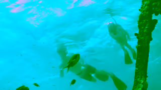 Visit Aruba The Aruba Effect Do Everything Ad Commercial Brand Imagery Photoshoot 0