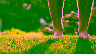 Scotts Scotts Lawn Builder For Greener Grass Ad Commercial Brand Imagery Photoshoot 1