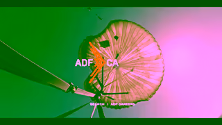 Australian Defence Forces Video Ad Ad Commercial Brand Imagery Photoshoot 2