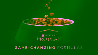 Purina Pro Plan is Always Advancing Nutrition Ad Commercial Brand Imagery Photoshoot 0