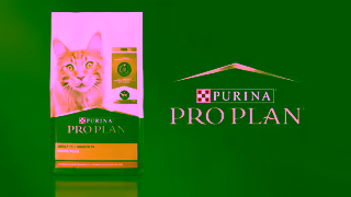 Purina Pro Plan is Always Advancing Nutrition Ad Commercial Brand Imagery Photoshoot 2