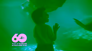 SeaWorld San Diego SWC24OpenYourWorldSpooktacularPASSSvUpTo20PcYT15ENG Ad Commercial Brand Imagery Photoshoot 0